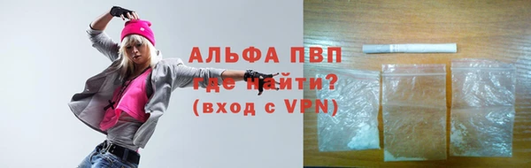 дживик Белокуриха