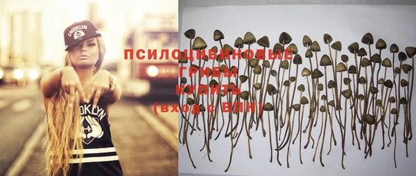 PSILOCYBIN Белоозёрский