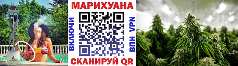 где продают наркотики  Краснознаменск  MEGA   Бошки Шишки планчик 